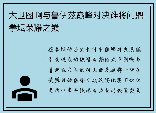 大卫图啊与鲁伊兹巅峰对决谁将问鼎拳坛荣耀之巅