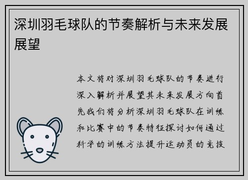 深圳羽毛球队的节奏解析与未来发展展望